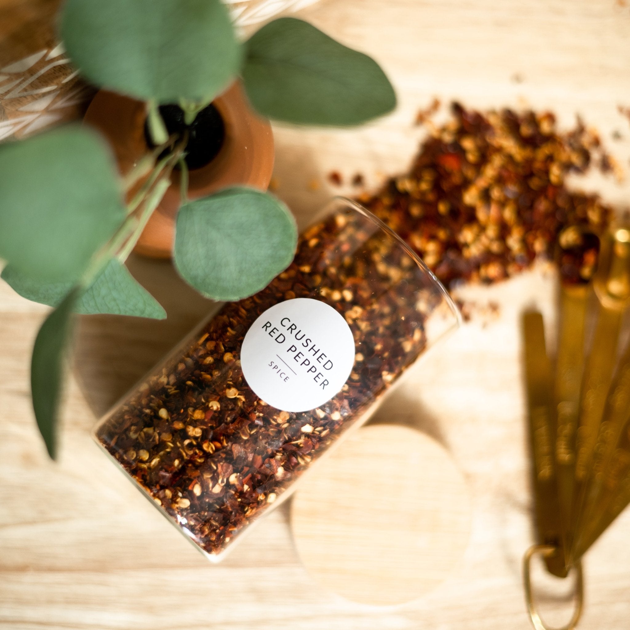 Round Minimalist Spice Labels - Savvy & Sorted