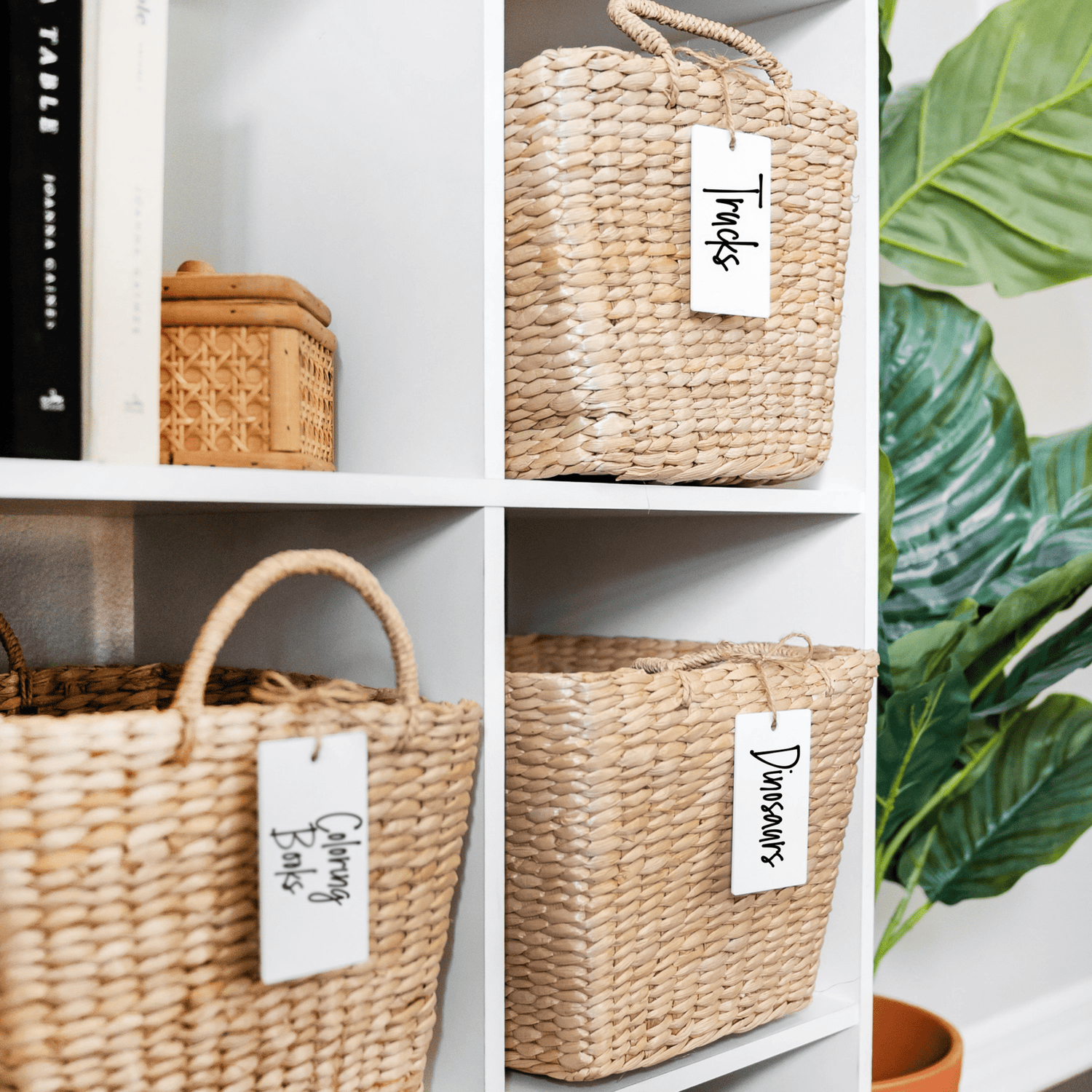 White Basket Tags - Savvy & Sorted