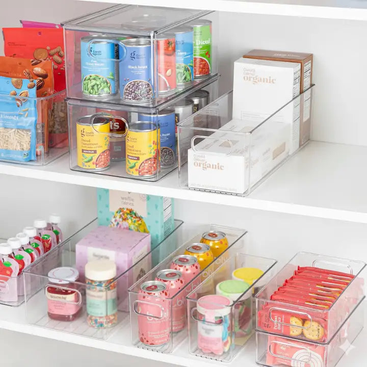Clear Fridge and Pantry Storage Bins