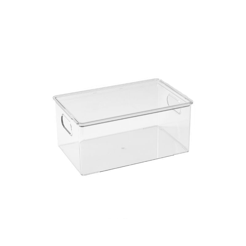 Clear Fridge and Pantry Storage Bins