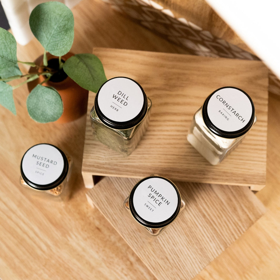 Round Minimalist Spice Labels - Savvy &amp; Sorted
